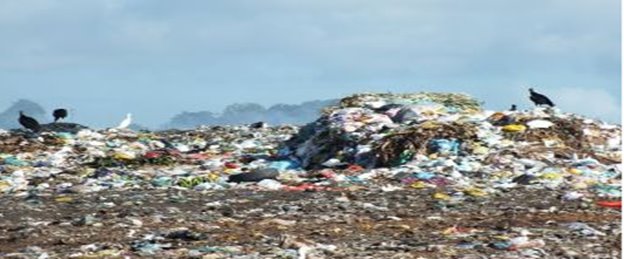 Trabalhadores vivem em situação precária no lixão de Palmeira