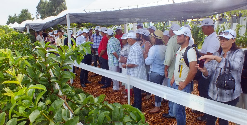Carpil encerra participação no Show Rural 2015