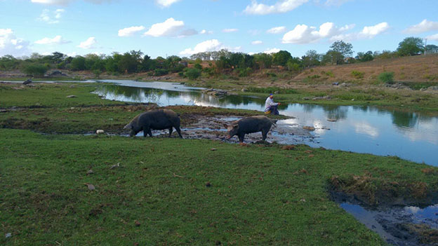 Fiscalização Preventiva flagrou diversas irregularidades (Créditos: Assessoria MPE)