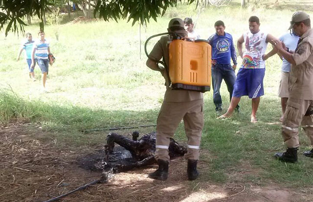 Foto: Cortesia/Internauta