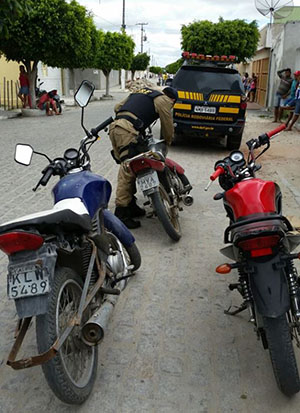 Operação conjunta prende 14 pessoas no Sertão de Alagoas por tráfico de armas (Foto: Ascom PRF)