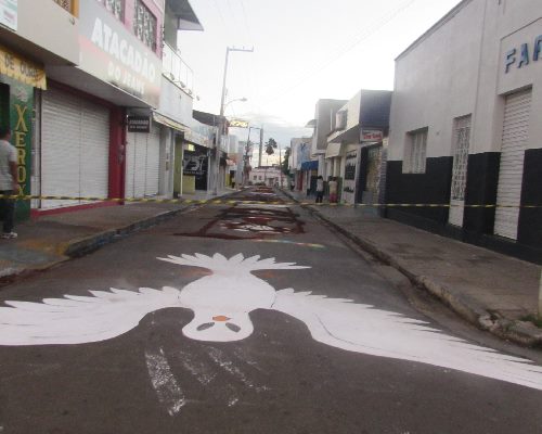 Colégio Cristo Redentor001