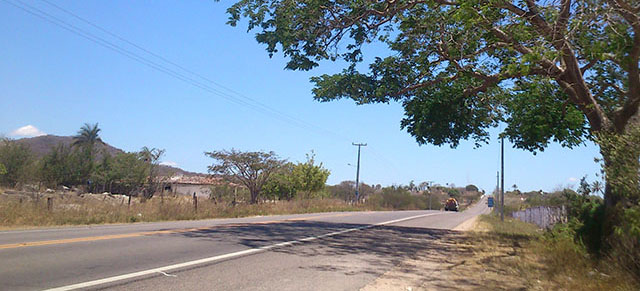 Acidente aconteceu próximo ao Sítio Novo (Foto: arquivo/AgendaAlagoas)