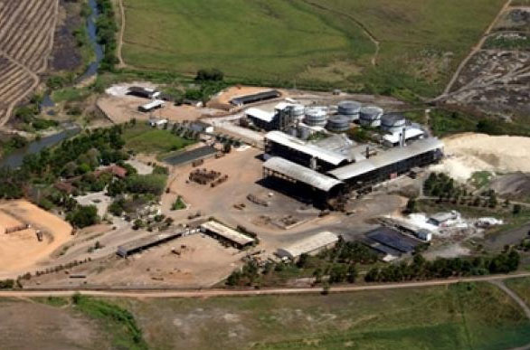 Medida visa o pagamento de verbas rescisórias de trabalhadores do corte da cana(Foto: Divulgação)