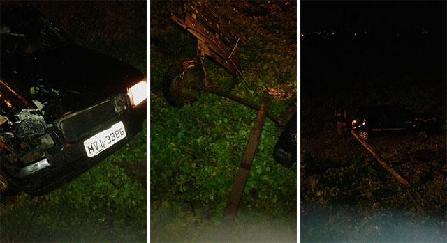 Automóvel colide com carroça de burro na AL-115 entre Igaci e Palmeira (Fotos: Cortesia/Internauta)