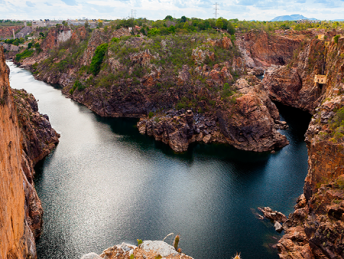 Empresários do APL Turismo Caminhos do São Francisco e voluntários da ação devem realizar o plantio de três mil mudas de árvores, típicas da vegetação caatinga (Foto: Divulgação)