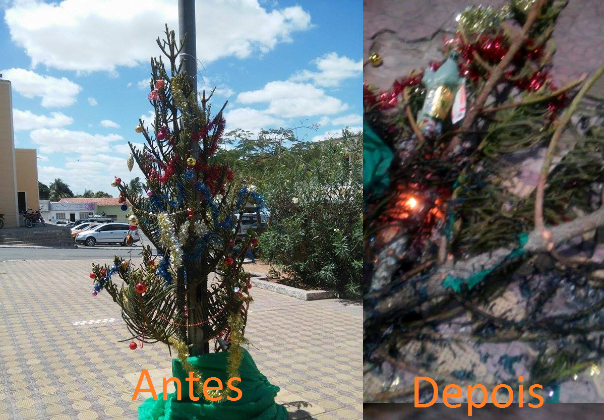 Árvore de Natal montada por jovens em Olho D´agua das Flores é destruída