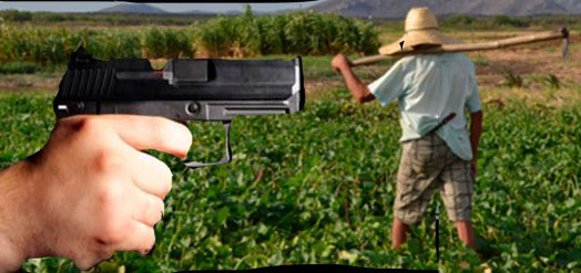 União dos Palmares vive clima de terror com ação de assaltantes na zona rural