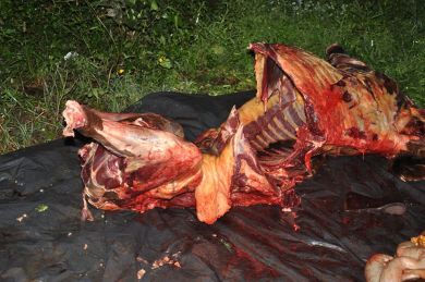 Crédito: Vigilância Sanitária