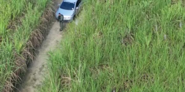 Helicóptero da SSP localiza veículo roubado em canavial