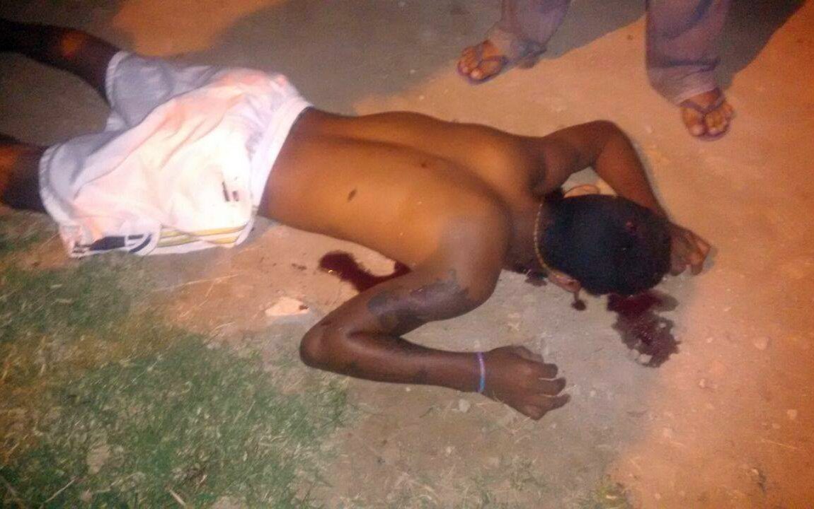 14152267_1449745291708488_652408558_o