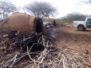 IMA emite 4 autos de infração por crimes ambientais no interior de AL