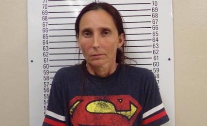 20160908110425919229u