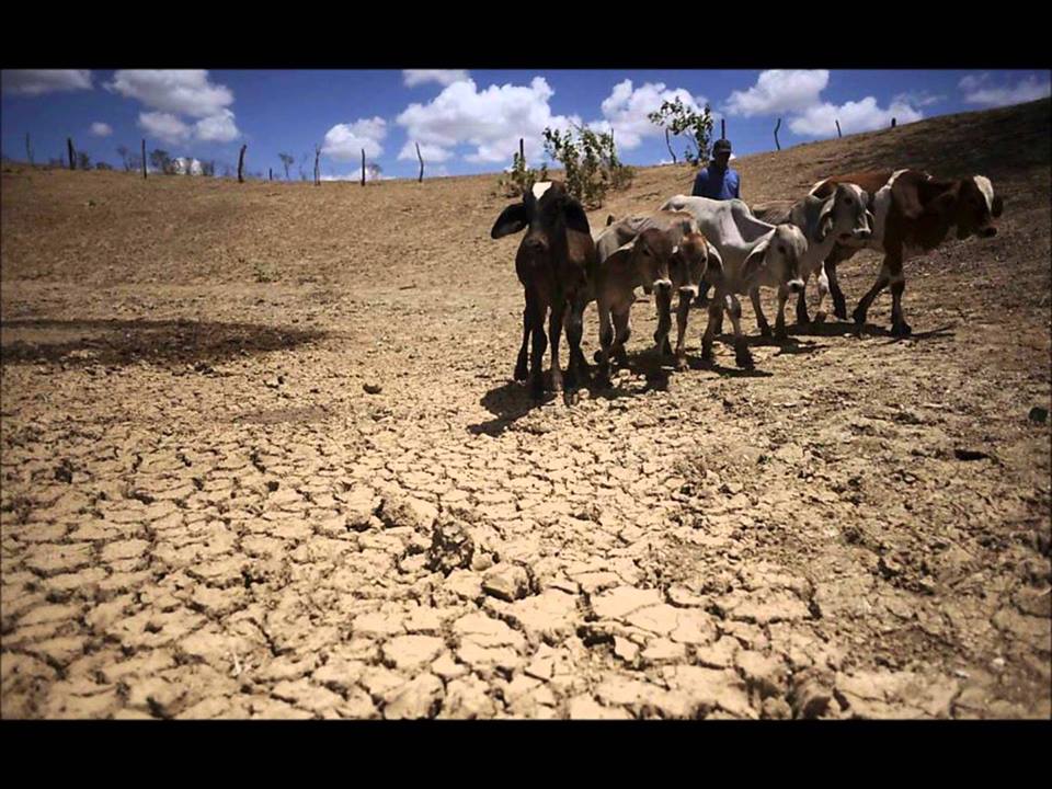 Seca em Alagoas gera prejuízo de 150 milhões de reais em 40 cidades