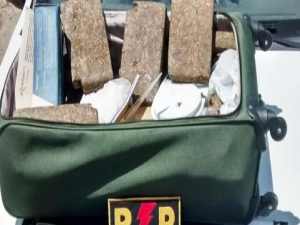 Inteligência da PM e BPRp apreendem 13 kg de maconha e 700 g de cocaína