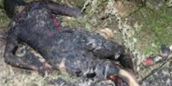 Corpo carbonizado é encontrado em lixão de Quebrangulo