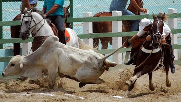 517f692210db19234dfc94ee86450ba6