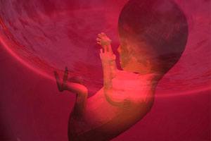 STJ condena padre por barrar aborto por meio de habeas corpus