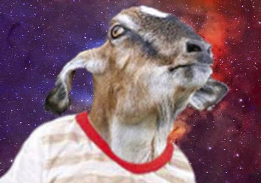 Criador da página ‘Bode Gaiato’ sofre sequestro relâmpago em Caruaru