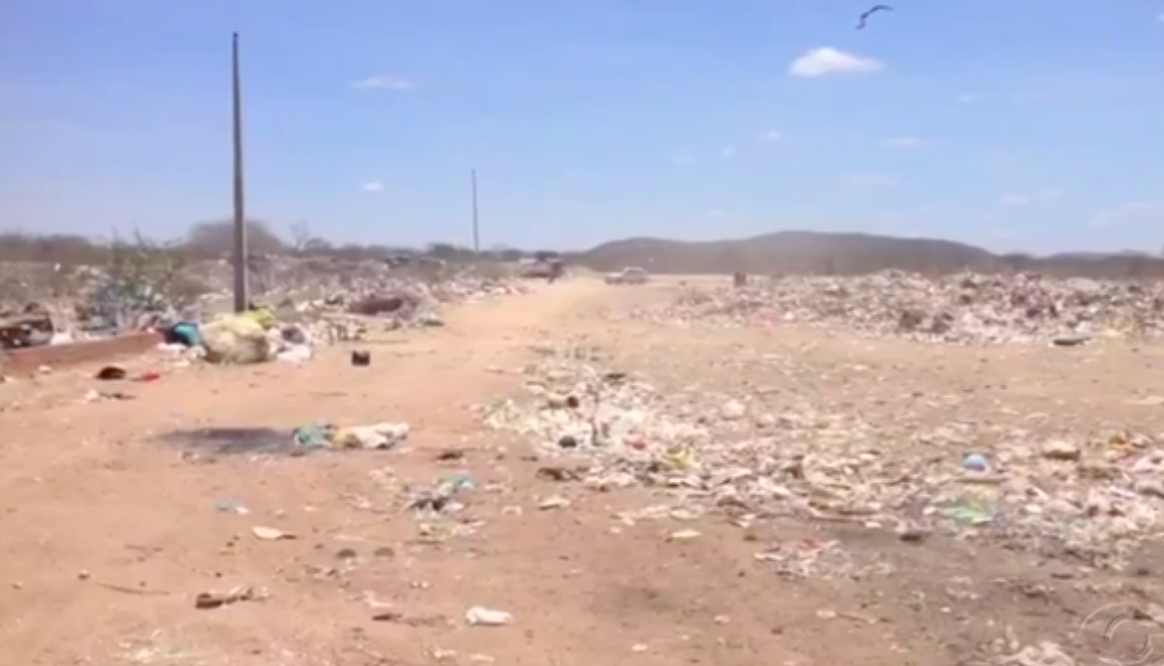 Terreno abandonado com placentas enterradas é interditado em Delmiro