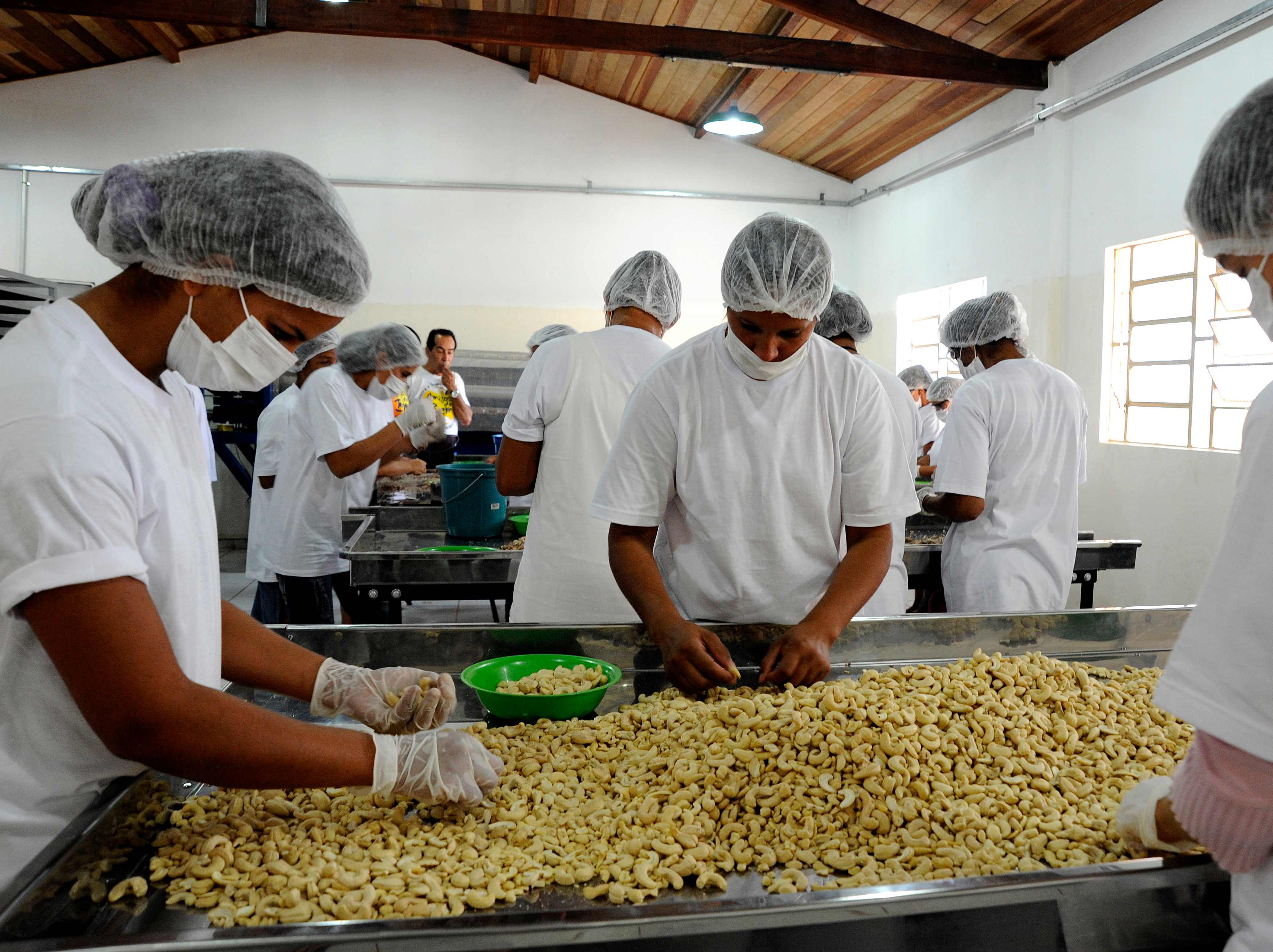 Fábrica de castanha será inaugurada em Estrela de Alagoas