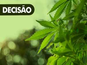 Justiça absolve idoso portador de câncer que usava maconha para fins medicinais