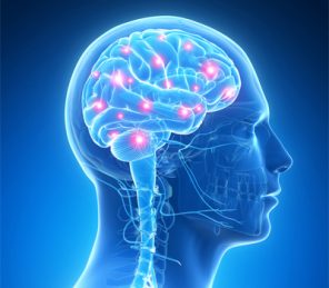 estudo_com_imagens_3d_do_cerebro_busca_marcadores_biologicos_do_tdah_1__2014-04-25170650