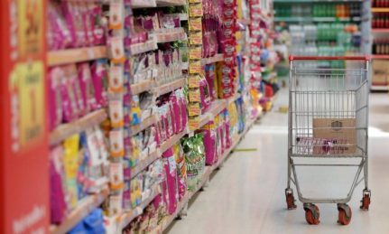 d1d0c9f7e2e450df48d82f4a8e77c0d7