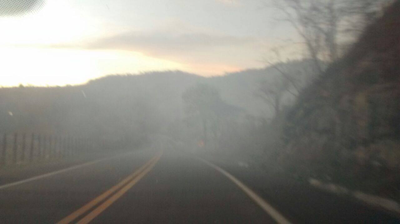 Lixão de Maribondo é um perigo constante para quem trafega na BR-316