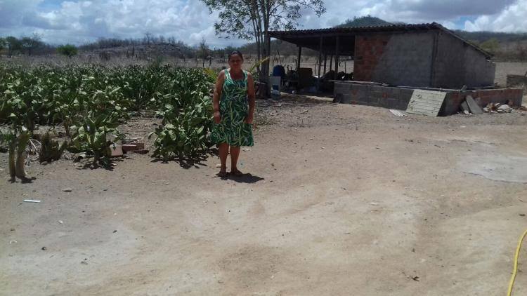 Crédito fundiário realizada sonho de agricultores em Alagoas