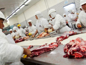 Frigoríco de carne bovina. Foto: Sistema FAEP