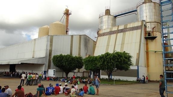 Destilaria Paisa em Penedo desemprega cerca de 300 trabalhadores após encerrar moagem