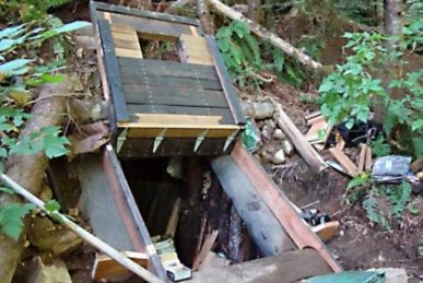 Esconderijo onde homem estava ficava no meio da mata, nos EUA