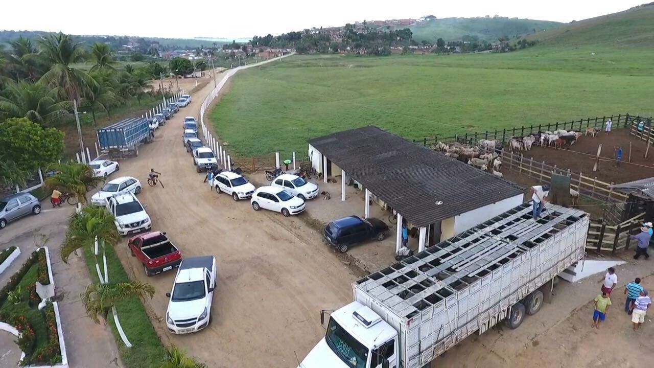 Em Atalaia “Feira do gado” surge como grande atração em AL