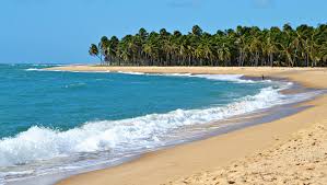 MPF/AL recomenda regularização do acesso à Praia do Gunga, no litoral sul