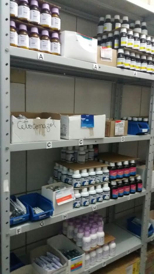 Canapi reabre farmácia pública e disponibiliza mais médicos para o povo