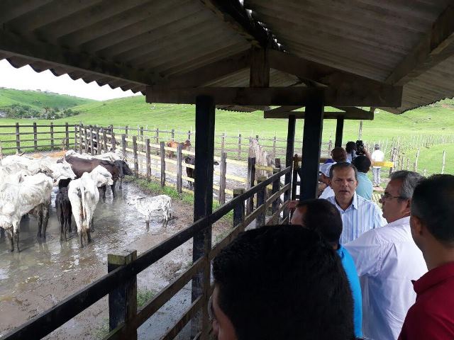 Feira do Gado vira sucesso em Atalaia unindo pecuaristas de toda AL