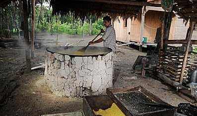 Benedito de Lira responde ao IMA dizendo ser desumano destruir casas de farinha