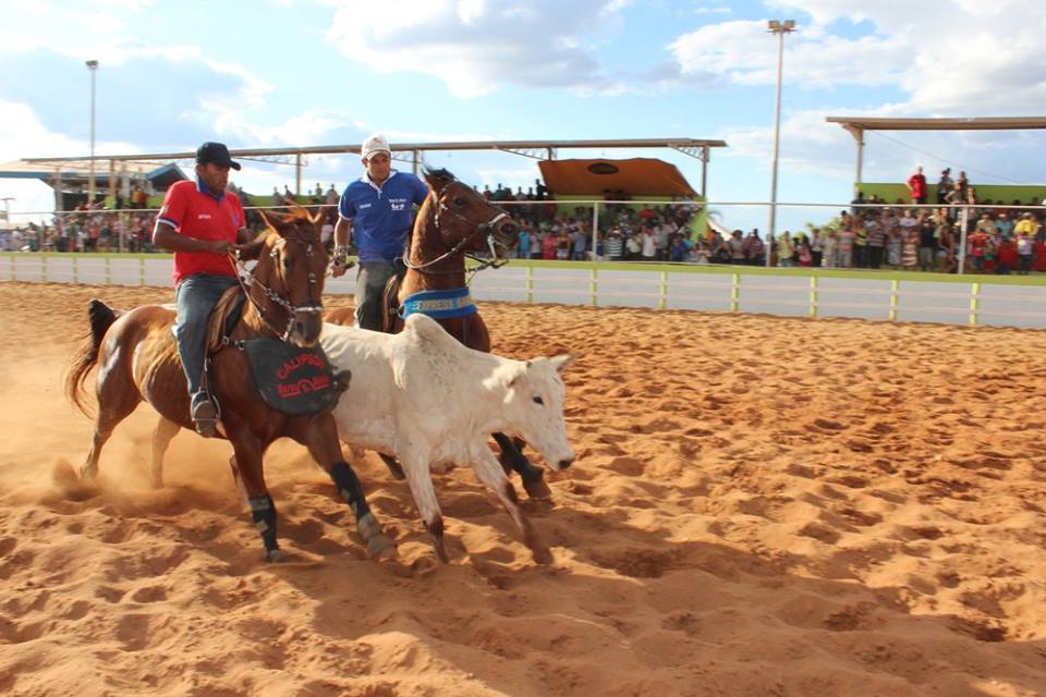 Janot quer derrubar leis que permitem vaquejadas