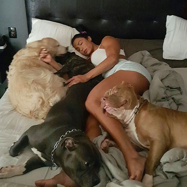 Por cachorro, Justiça penhora conta de Gracyanne Barbosa