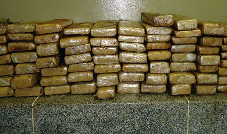 Polícia apreende cerca de 200 kg de maconha em mata em Fernão Velho