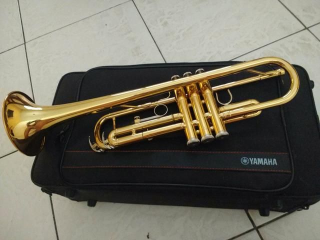 PC recupera instrumento musical avaliado em R$ 8 mil