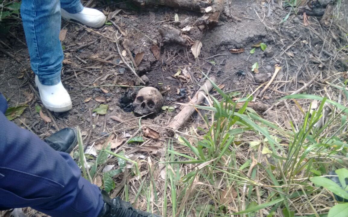 Crânio humano é encontrado em sitio no interior