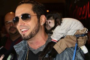 Macaco de Latino, Twelves morre atropelado e deixa cantor devastado