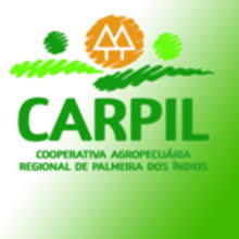 Carpil oferece novas oportunidades de emprego