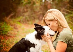 Animais são membros da família, decide tribunal de São Paulo