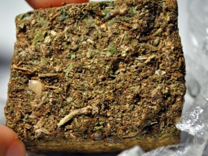 Duas mulheres foram presas acusadas de tráfico de maconha