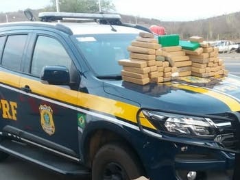 Bahia: PRF apreende 130 quilos de maconha que seriam entregues em Arapiraca