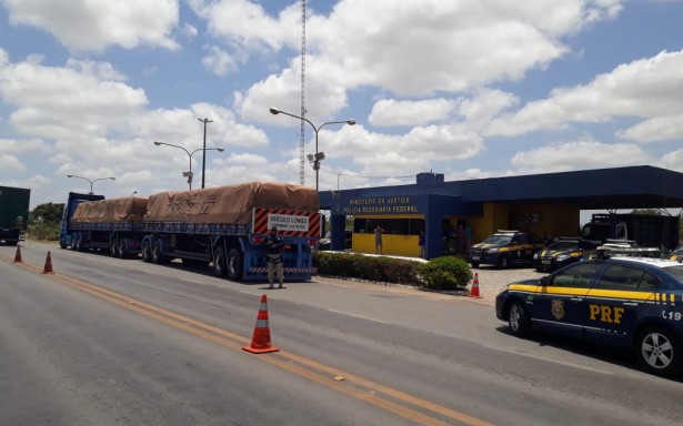 Operação apreende 12 veículos e mais de 100 documentos