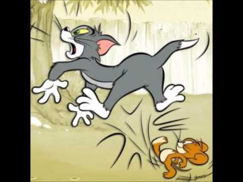 PALMEIRA DOS ÍNDIOS: a política começa a parecer uma guerra de meninos irresponsáveis e visionários, sabemos querendo o “quê”? É rir para não chorar